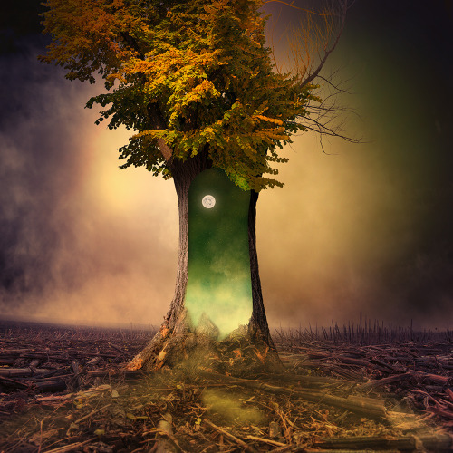 sosuperawesome:  Caras Ionut adult photos