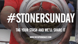 weedporndaily:  Happy Stoner Sunday! Tag your stash #stonersunday or submit it and get reblogged! See all the #StonerSunday submissions!  :3