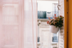 R-Isas:  Floemist:  Untitled By Isabelle Bertolini On Flickr.  This Is So Lovely