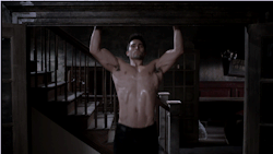 dianatroy:  Tyler Hoechlin Like this?  Find