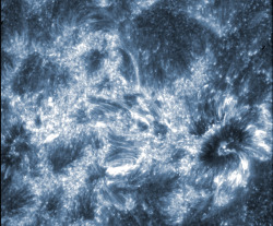 jtotheizzoe:  Opening The IRIS NASA’s IRIS satellite, a new project to observe a layer of the sun called the solar interface, has returned its first images of this special part of our dynamic star. IRIS was launched in late June, and opened its “eye&quot;
