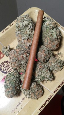 old-mother-sativa:Rolled a blunt full of Cali kush
