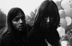 everybodyneedspinkfloyd:  David Gilmour and Roger Waters | Pink Floyd 