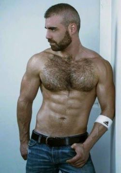 hairymusclehunks:  My Tumblr blogs - http://fredholt.tumblr.com - http://hairymusclehunks.tumblr.com - http://justmusclemen.tumblr.com - http://justhairymen.tumblr.com - http://justmenass.tumblr.com -  Like my Facebook Page - http://www.facebook.com/hairy