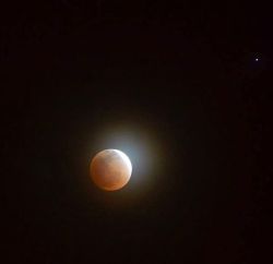 bedsigh:  Blood moon // 4.15.14 