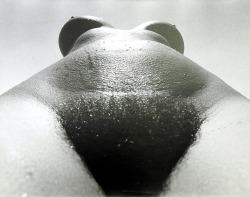 Lucien Clergue left us. We all know those images of stunningly beautiful women, of parts of bodies surrounded by water, his poetic nudes that went far above of just showing a naked human. More than 70 books showcased his work. In July he turned 80. Today