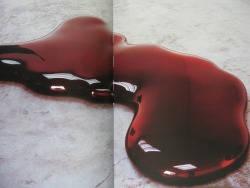 efedra:  Blood, 2000 by Anish Kapoor 