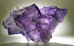 Fluorite by usageology on Flickr.Fluorite Locality: Rosiclare, Illinois Size: Specimen is 6.3 inches wide. usa geology