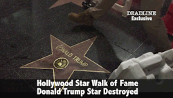 fatcakes:  big-mac-115:  fatcakes:  flacomexicano:  sandandglass:  Source  this man dressed up as a construction worker to rip this shit off the ground so he can auction it and use the money to help the women who have come forward about donald trump rapin