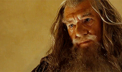 Gandalf isn’t taking any of your shitrequested by valkyrem
