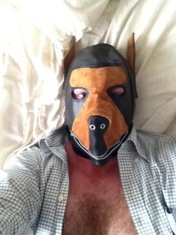 Gpup Alpha in his leather dog hood from Mr S
