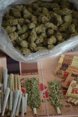 inklover94:  incredible-kush:  Keep a few rolled  good rolling papers on here check them out :) 