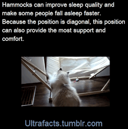 ultrafacts:  Medical research suggests that hammocks allows users to fall asleep faster and sleep more deeply compared to a traditional, stationary mattress. &ldquo;It is a common belief that rocking induces sleep: We irresistibly fall asleep in a rocking