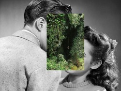 wetheurban:   ART: Mixed Media Collages by Anya Lsk Mysterious