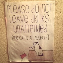 thefingerfuckingfemalefury:  Look at that cats face It is not even a little bit sorry about this It is just all ‘THAT’S RIGHT GONNA KNOCK OVER ALL YOUR DRINKS’
