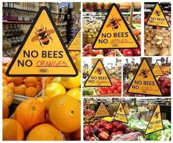 dan12481:  antinwo:   Occupy Monsanto  GMO’s need to be eliminated!  Vermont is the first state to label GMO’s. 