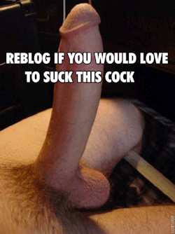 sissycdmichelle69:  sissy-stable:  Would