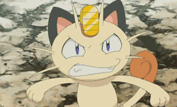 butt-berry:  It took 836 episodes but someone has finally decided to just curbstomp Meowth 