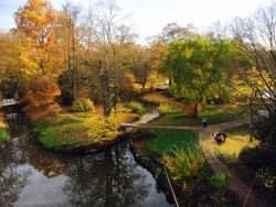 from a few weeks ago, visiting Germany Nov 2015. all the fall beauty ðŸ‚ðŸ