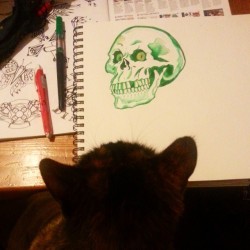 Mickey the cat, &ldquo;Yess, skullsss, I approooove.&rdquo; #mattbernson #cats #skulls #skull #artistsontumblr #tattoodesign