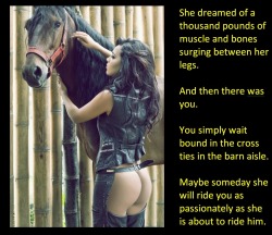 She dreamed of a thousand pounds of muscle and bones surging between her legs.And then there was you.You simply wait bound in the cross ties in the barn aisle.Maybe someday she will ride you as passionately as she is about to ride him.