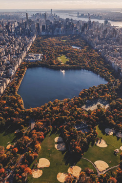 banshy:  Central Park // Anthony Fields  