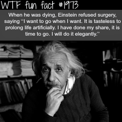 wtf-fun-factss:  Quotes by Albert Einstein - WTF fun facts