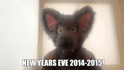 aceofheartsfox:  aceofheartsfox:  Hi everybody! :D One of my favorite things about tumblr, and the internet in general is that it’s connected me with so many furs around the world! :3 So for my New Years Eve post, I’m going to be reblogging this according