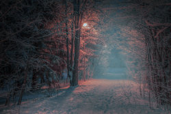 Landscapelifescape:  Winter In Finland By M-Eralp  