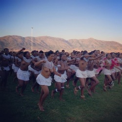   Swazi reed dancers,   via julie_jammot