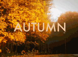 adreamdeferred:   Autumn.   