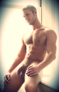 randydave69:  His furry body looks so hot in this light! His cock looks pretty fucking hot too!