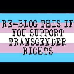 transboysunited:  Repost if you support transgender rights! #transgender #tranguy #transman #ftm #femaletomale #transboy #transpride #rainbowpride #pride