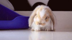 The 8th gif in your folder is what your soul is made of
