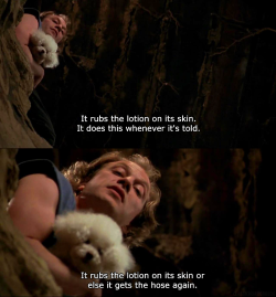 classichorrorblog:  The Silence Of The Lambs (1991)