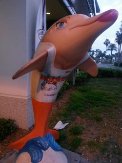 gwess:  Take me down to the Clearwater City Where the beach is clean And the dolphin got titties