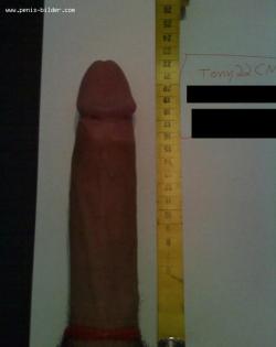 22 cm = 8.6 inches