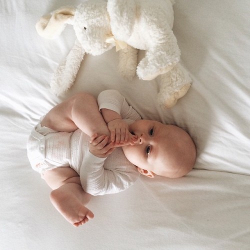 darleenclaire:  Exploring toes, mastering life, learning to feel joy and contentment. Infants are so busy developing new neural pathways and brain cells to support complex behaviors and thoughts. Learn how attachment parenting, home schooling, traditional