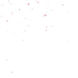 deathscythe-x:  Transparent cherry blossom petals falling. 
