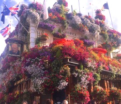ivorylola:   sister-japan:  My fav pub in London. ロンドンのお気に入りパブ  this is one of the prettiest pictures I’ve ever seen 