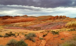 openbooks:  “Rainbow in the Red”Valley of Fire State Park, NV. May 2015. 