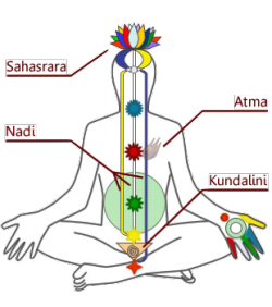 flydood81: masturbatorsanctum:   Lingam massage. The lingam massage is a Tantric massage that primarily focuses on the male sexual organs. Along with Mantra and Yantra, Tantra is a part of the Hindu life philosophy. Tantra is the activation and control