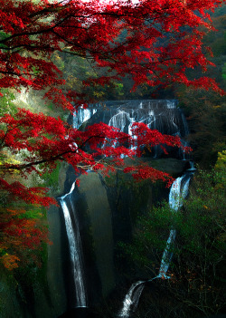 bluepueblo:  Majestic, Fukuroda Falls, Japan