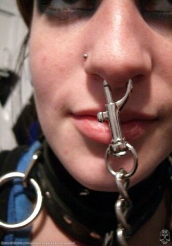 slutsareforfucking:  stupiduselesscunt:  Leashes don’t just go on a collar  One of the many reasons I’d like to get my septum pierced