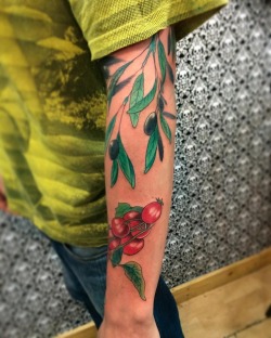 💀✖️primera sesión de tatuaje al pana @tonos.carlos rama de tomates cherry y rama de olivas negras full buena vibra✖️💀 . . . . . . . . #tattoo #tatuaje #ink #tatu #oliva #aceituna #tomate #cherries #tomatescherrys #arm #brazo #colores #colors