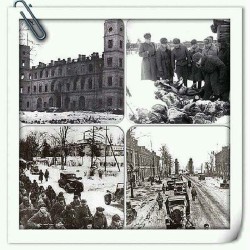 #Gatchina, #Russia  January 26, 1944  #History #Glory #Freedom #Victory #Fight #Wwii