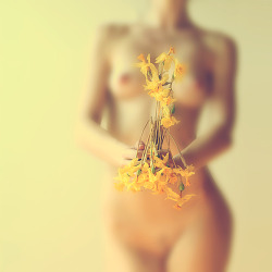titillate-me:  -flowered- by tynaS  voll