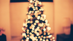  Christmas Favorites—Christmas Lights 