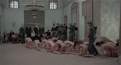 Forced Nude Exercise  jawaja35:  BDSM Slaves &amp; Public NudityJoin me on http://jawaja35.tumblr.com/ 