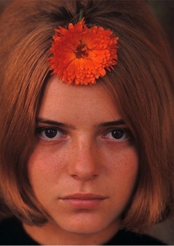 France Gall, Jean-Marie Perier Photography
